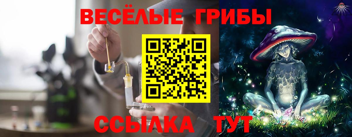 Карасук  Галлюциногенные грибы ЛСД  Вход с VPN  Галлюциногенные грибы мицелий 