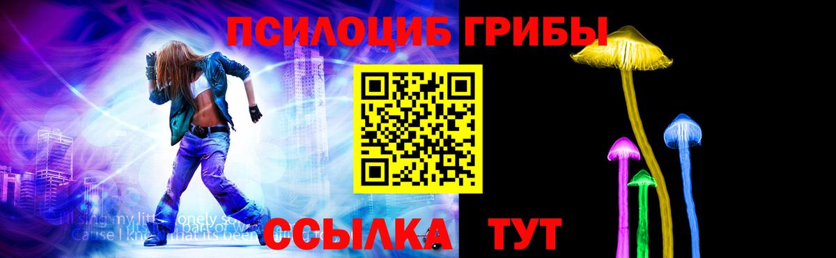 Галлюциногенные грибы Psilocybine cubensis Карасук
