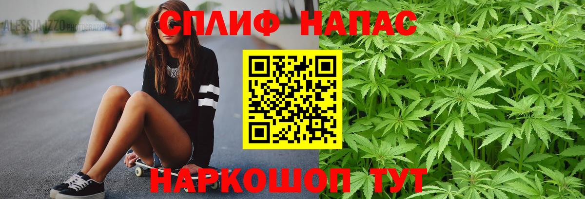 Шишки марихуана план Карасук